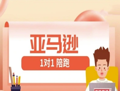 亚马逊1对1陪跑课(FBA/FBM精铺)跨境亚马逊教程-鲲鹏云网创