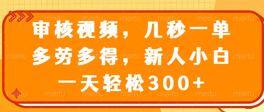 （14294期）审核视频，几秒一单，多劳多得，新人小白一天轻松300+-鲲鹏云网创