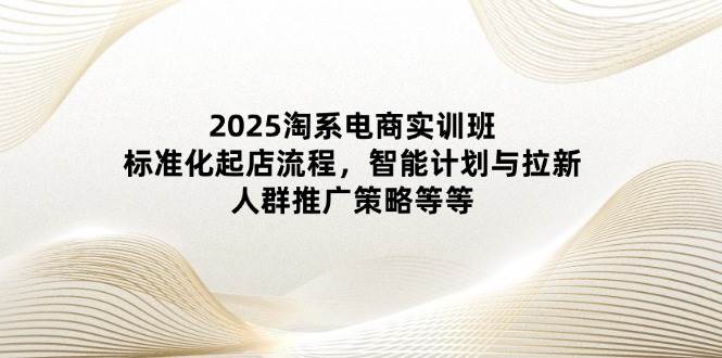 （14522期）2025淘系电商实训班：标准化起店流程，智能计划与拉新，人群推广策略等等-鲲鹏云网创
