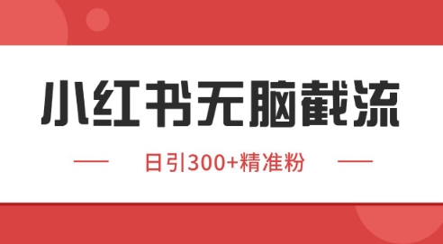 小红书截流同行客源，独家野路子获客玩法 日引200+暴力获客【揭秘】-鲲鹏云网创