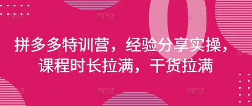 拼多多特训营，经验分享实操，课程时长拉满，干货拉满(更新25年4月)-鲲鹏云网创