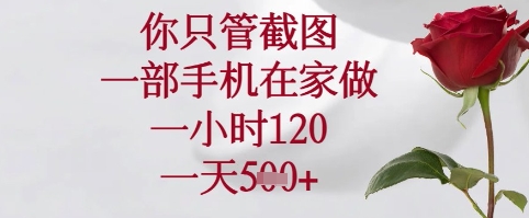 你只管截图，一部手机在家可以做，一小时120.一天5张+【揭秘】-鲲鹏云网创