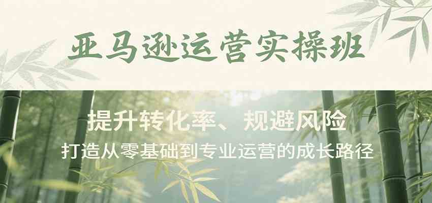 亚马逊运营实操班，提升转化率、规避风险，打造从零基础到专业运营的成长路径-鲲鹏云网创