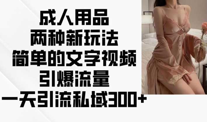 成人用品两种新玩法，简单的文字视频引爆流量，一天引流私域300+-鲲鹏云网创