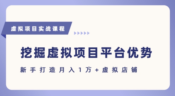 抓住虚拟项目各平台优势，新手轻松月入1W+(给出具体建议)-鲲鹏云网创