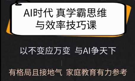 Ai时代真学霸思维与学习方法课，有格局且接地气，家庭教育有力参考-鲲鹏云网创