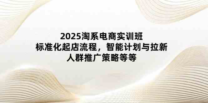 2025淘系电商实训班：标准化起店流程，智能计划与拉新，人群推广策略等等-鲲鹏云网创