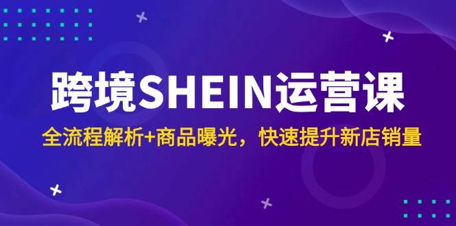 （14832期）跨境SHEIN运营课，全流程解析+商品曝光，快速提升新店销量-鲲鹏云网创