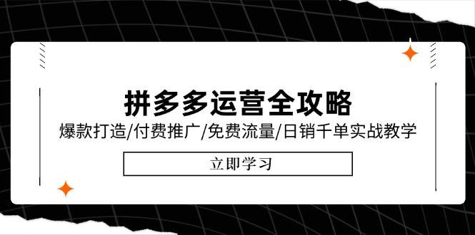 （15085期）拼多多运营全攻略，爆款打造/付费推广/免费流量/日销千单实战教学/6月更新-鲲鹏云网创