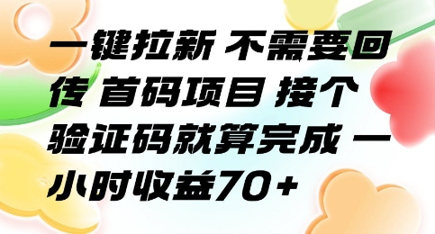 一键拉新 不需要回传 首码项目 接个验证码就算完成 一小时收益70+【揭秘】-鲲鹏云网创