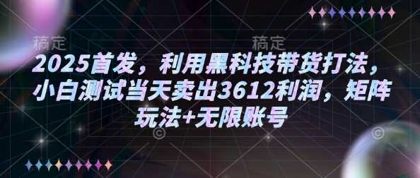 2025首发，利用黑科技带货打法，小白测试当天卖出3612利润，矩阵玩法+无限账号【揭秘】-鲲鹏云网创