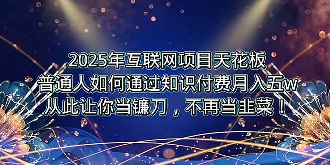 （15354期）2025年互联网项目天花板，普通人如何通过卖项目实现逆风翻盘，月入5W＋！-鲲鹏云网创