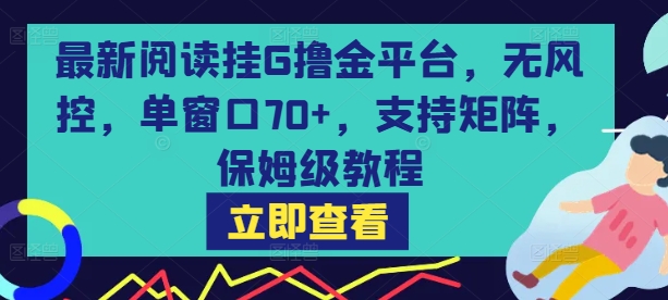 最新阅读挂G撸金平台，无风控，单窗口70+，支持矩阵，保姆级教程【揭秘】-鲲鹏云网创