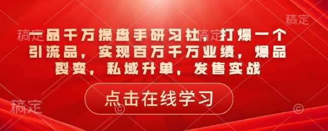 一品千万操盘手研习社，打爆一个引流品，实现百万千万业绩，爆品裂变，私域升单，发售实战-鲲鹏云网创