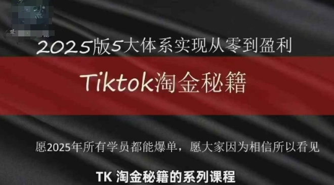 TikTok跨境2025淘金秘籍，2025TikTok从0到盈利变现-鲲鹏云网创