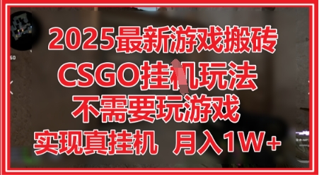 2025最新游戏搬砖，CSGO挂G，不需要玩游戏，实现真挂G，月入1W+【揭秘】-鲲鹏云网创