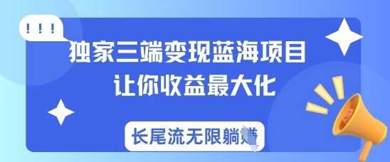 独家三端变现蓝海项目，让你收益最大化，长尾流无限躺挣-鲲鹏云网创