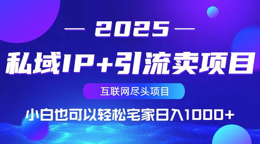（14151期）私域IP+引流卖项目，小白也可以做到轻松宅家日入1000+-鲲鹏云网创
