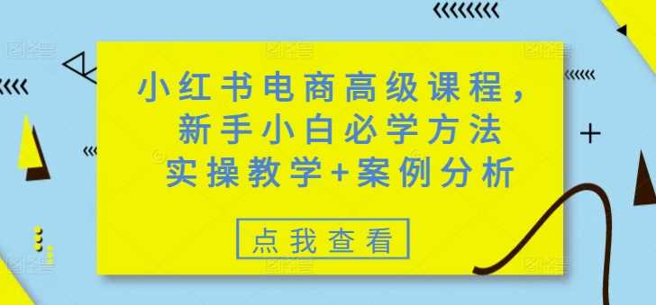 小红书电商高级课程，新手小白必学方法，实操教学+案例分析-鲲鹏云网创
