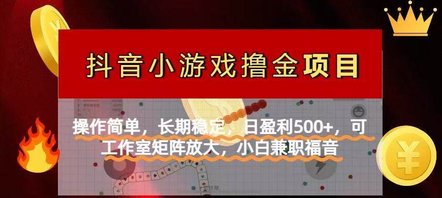 （14290期）【抖音小游戏发行人计划项目】操作简单，长期稳定，日盈利500+，可工作…-鲲鹏云网创