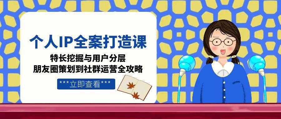 个人IP全案打造课，特长挖掘与用户分层，朋友圈策划到社群运营全攻略-鲲鹏云网创