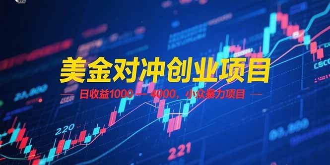 （15187期）美金对冲创业项目，日收益 1000 – 4000，小众暴力项目-鲲鹏云网创