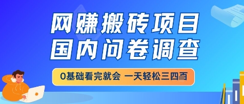 网创搬砖项目，国内问卷调查，小白轻松上手，一天三四张的也不难，干就完了【揭秘】-鲲鹏云网创
