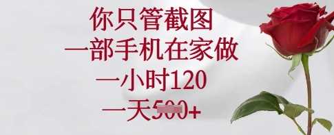 你只管截图，一部手机在家做，一小时120.一天5张【揭秘】-鲲鹏云网创