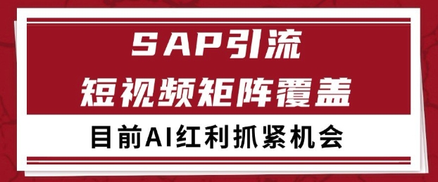 小红书某音sap赛道引流获客 自热矩阵日引200+【揭秘】-鲲鹏云网创