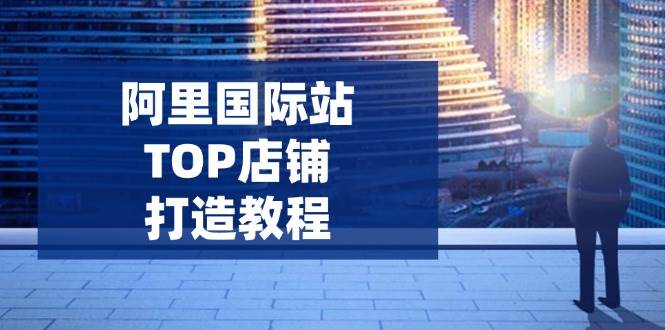 （14269期）阿里国际站TOP店铺打造教程：涵盖平台到高阶，解决运营难题，提升询盘-鲲鹏云网创