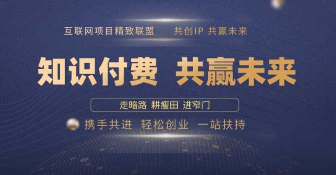 别人苦寻无果，为何他们靠知识付费卖项目 2025 年轻松年入100个?【揭秘】-鲲鹏云网创