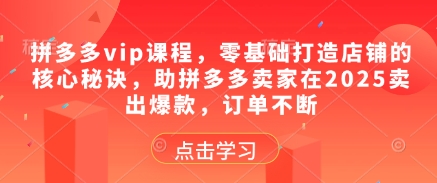 拼多多vip课程，零基础打造店铺的核心秘诀，助拼多多卖家在2025卖出爆款，订单不断-鲲鹏云网创