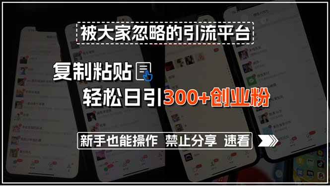 （15428期）被大家忽略的引流平台，复制粘贴轻松日引300+创业粉，新手也能操作，禁…-鲲鹏云网创