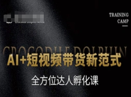 AI+短视频带货新范式，全方位达人孵化课-鲲鹏云网创
