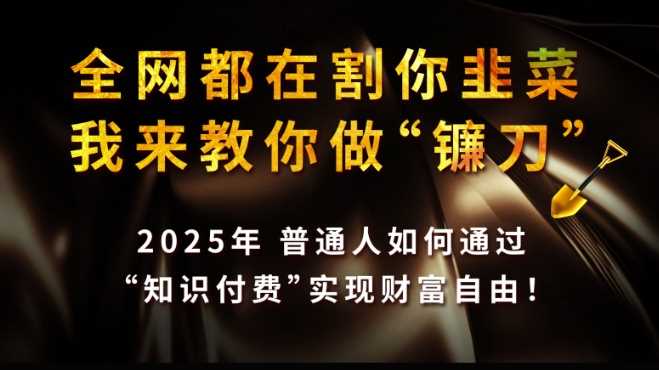 全网都在割你韭菜，我来教你做镰刀,2025普通人如何通过知识付费，实现财F自由【揭秘】-鲲鹏云网创
