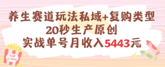 养生赛道玩法私域+复购类型，20秒生产原创实战单号月收入5k+-鲲鹏云网创