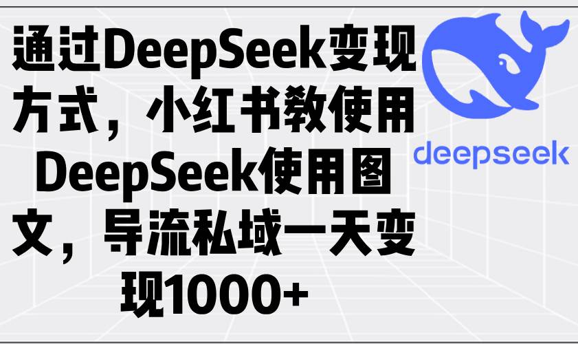 （14179期）通过DeepSeek变现方式，小红书教使用DeepSeek图文，导流私域一天变现1000+-鲲鹏云网创