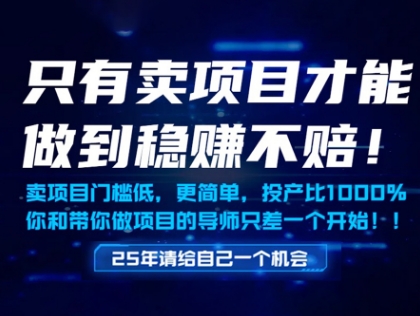 只有卖项目才能做到稳挣不赔，门槛低，更简单，你也可以年入百个W【揭秘】-鲲鹏云网创