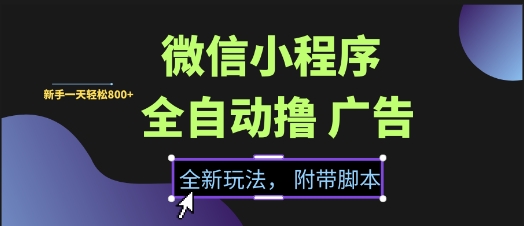 微信小程序全自动撸广告项目，彻底解决没流量的问题，新手一天8张+【揭秘】-鲲鹏云网创