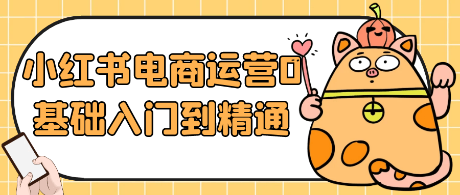 小红书电商运营0基础入门到精通-鲲鹏云网创