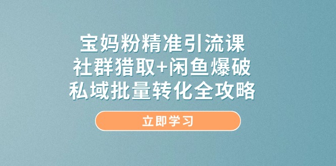 （14820期）宝妈粉精准引流课，社群猎取+闲鱼爆破，私域批量转化全攻略-鲲鹏云网创