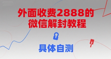 （15301期）外面收费2888的微信解封教程，具体自测-鲲鹏云网创