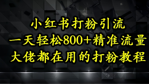 小红书打粉引流，一天轻松500+精准流量，大佬都在用的打粉教程-鲲鹏云网创
