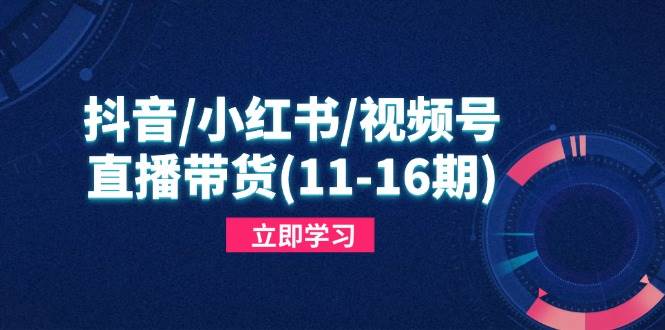 （14611期）抖音/小红书/视频号/直播带货(11-16期)，快速掌握平台规则，打造爆款内容-鲲鹏云网创