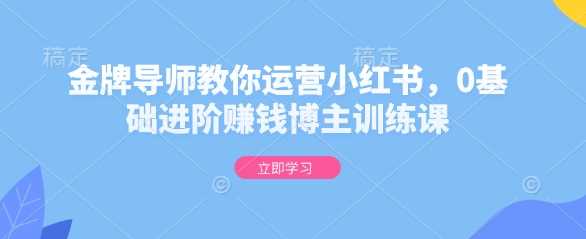 金牌导师教你运营小红书，0基础进阶赚钱博主训练课-鲲鹏云网创