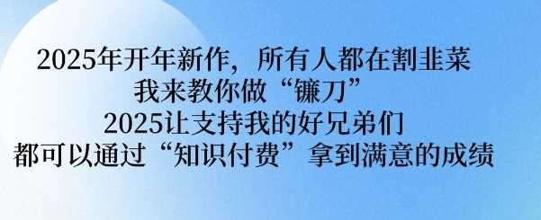 2025年开年新作，所有人都在割韭菜，我来教你做“镰刀” 2025让支持我的好兄弟们都可以通过“知识付费”拿到满意的成绩【揭秘】-鲲鹏云网创