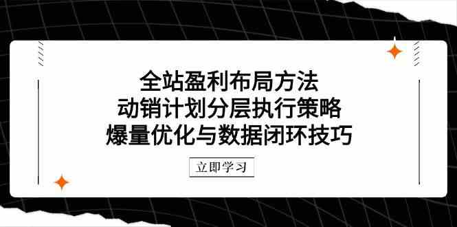 全站盈利布局方法：动销计划分层执行策略，爆量优化与数据闭环技巧-鲲鹏云网创