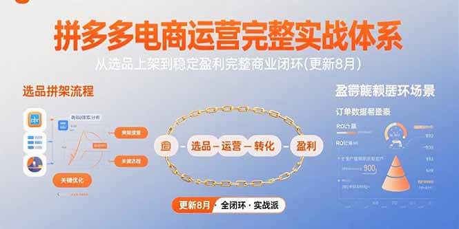 （15579期）拼多多电商运营完整实战体系，从选品上架到稳定盈利完整商业闭环(更新8月)-鲲鹏云网创