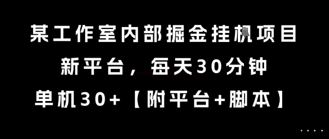某工作室内部掘金挂G项目，新平台，每天30分钟，单机30+【揭秘】-鲲鹏云网创
