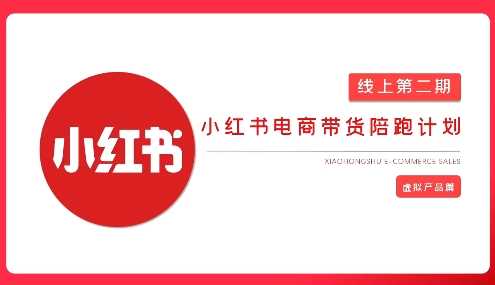 2025小红书虚拟电商实战课，从0到1打造无货源店铺，AI+爆款笔记轻松变现-鲲鹏云网创